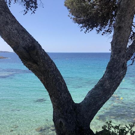 Les Baux 2 Sanary Sur Mer Екстериор снимка
