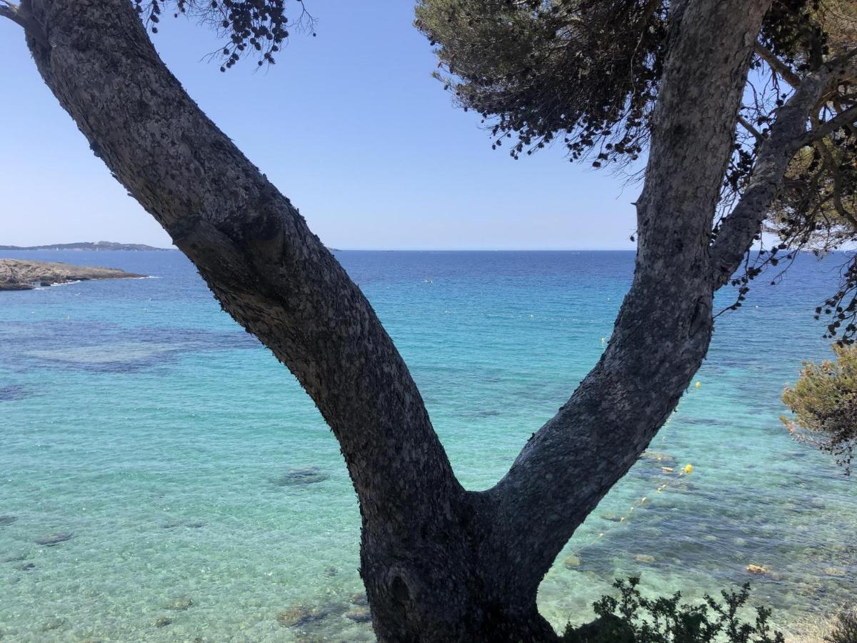 Les Baux 2 Sanary Sur Mer Екстериор снимка